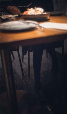 《探索者的羽翼》