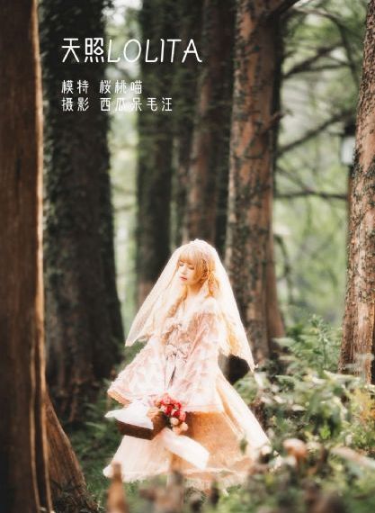 裙子的下面有野兽