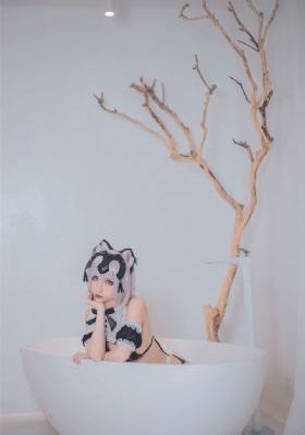 速度与激情